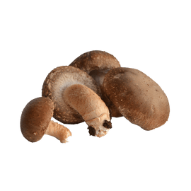 Cogumelos Desidratados Pleurotus & Shitake